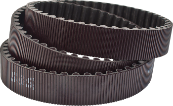 Drive Belt