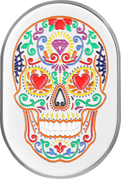 Antenna Cover with Sugar Skull