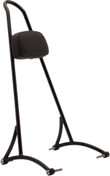 20" Tall Sissy Bar with Pad