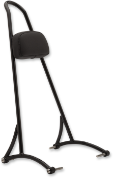 20" Tall Sissy Bar with Pad