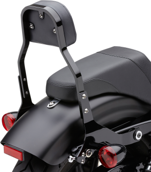 11" Square Detachable Backrest Kit