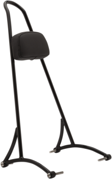 20" Tall Sissy Bar with Pad