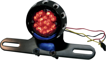 drag_specialties_custom_bobber_led_taillight_and_license_plate_mount_multi-fit_black