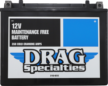 CTX24HL-BS AGM Maintenance-Free Battery