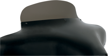 Batwing Spoiler Windshield