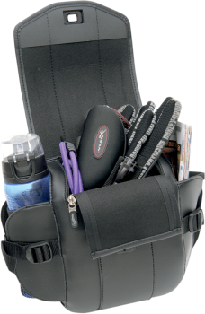 Cruis'n Deluxe Sissy Bar Bag