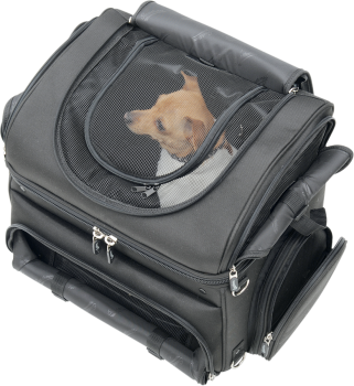 Pet Voyager