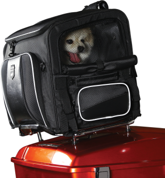 Route 1 Rover Pet Carrier
