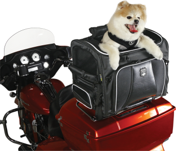 Route 1 Rover Pet Carrier
