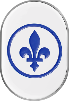 Antenna Cover with Fleur-De-Lis