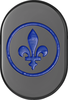 Antenna Cover with Fleur-De-Lis