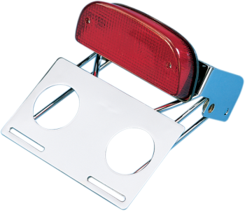 Custom Taillight with Chrome Bracket Assembly