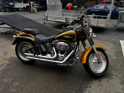 2008 Fatboy