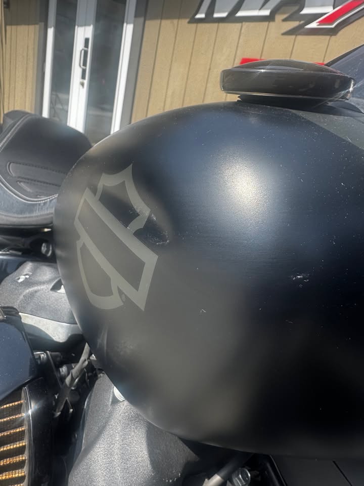 2019 Fat Bob