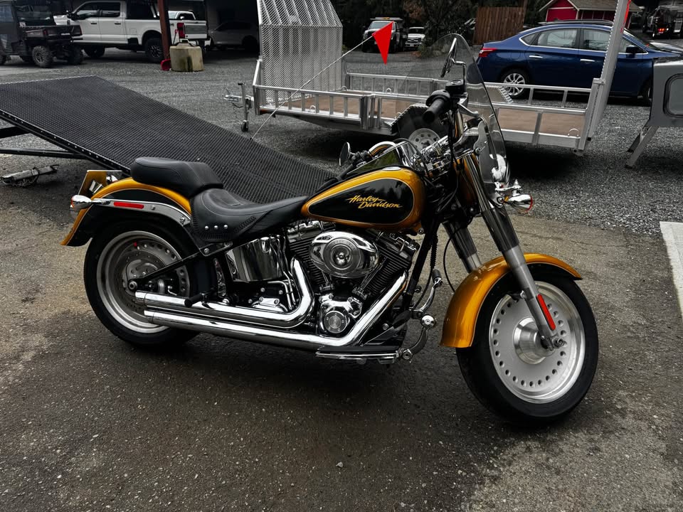 2008 Fatboy